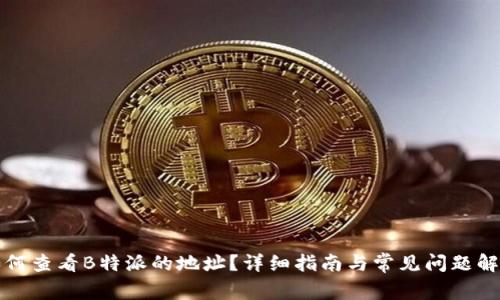 如何查看B特派的地址？详细指南与常见问题解答